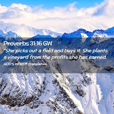 Picture 02 - Proverbs 31:16 GW - “She picks out a field and buys it. She plants - Bible Verse Picture