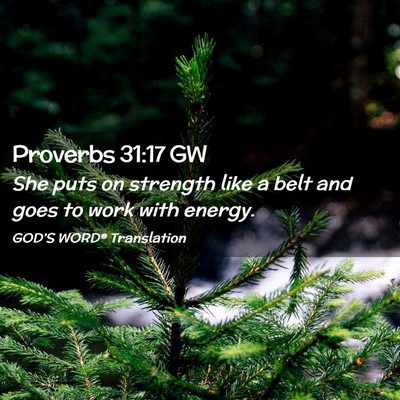 Picture 02 - Proverbs 31:17 GW - She puts on strength like a belt and goes to work - Bible Verse Picture
