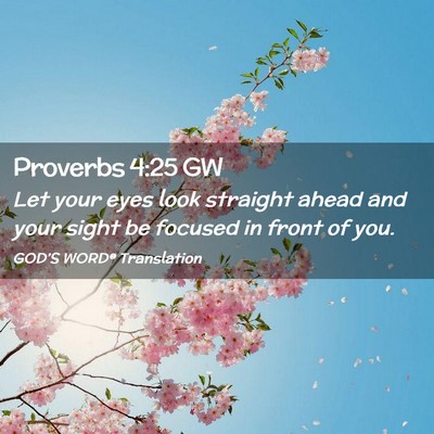 Picture 02 - Proverbs 4:25 GW - Let your eyes look straight ahead and your sight - Bible Verse Picture
