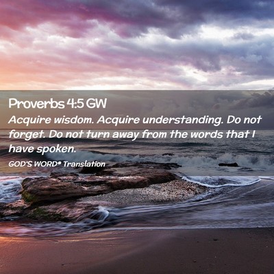 Picture 02 - Proverbs 4:5 GW - Acquire wisdom. Acquire understanding. Do not - Bible Verse Picture