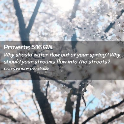 Picture 02 - Proverbs 5:16 GW - Why should water flow out of your spring? Why - Bible Verse Picture