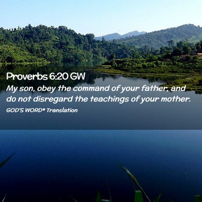 Picture 02 - Proverbs 6:20 GW - My son, obey the command of your father, and do - Bible Verse Picture