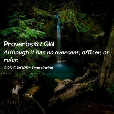 Picture 02 - Proverbs 6:7 GW - Although it has no overseer, officer, or - Bible Verse Picture