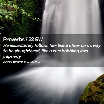 Picture 02 - Proverbs 7:22 GW - He immediately follows her like a steer on its - Bible Verse Picture