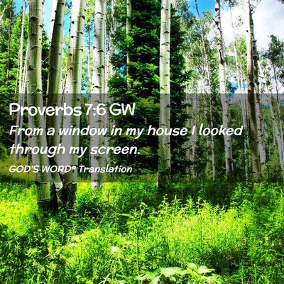 Picture 02 - Proverbs 7:6 GW - From a window in my house I looked through my - Bible Verse Picture
