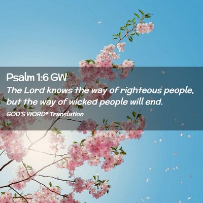 Picture 02 - Psalm 1:6 GW - The Lord knows the way of righteous people, but - Bible Verse Picture