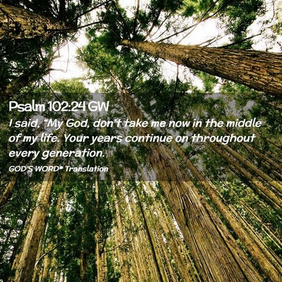 Picture 02 - Psalm 102:24 GW - I said, “My God, don’t take me now in the - Bible Verse Picture