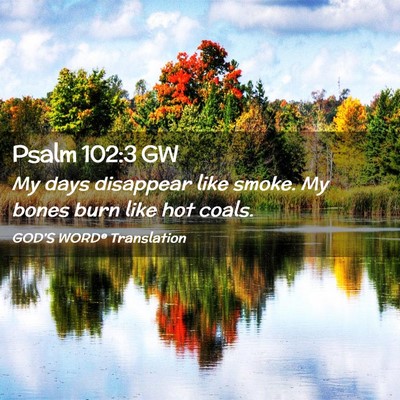 Picture 02 - Psalm 102:3 GW - My days disappear like smoke. My bones burn like - Bible Verse Picture