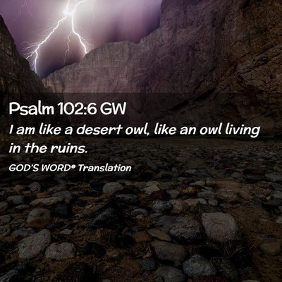 Picture 02 - Psalm 102:6 GW - I am like a desert owl, like an owl living in the - Bible Verse Picture