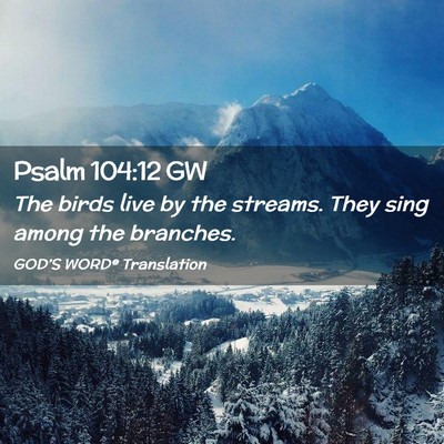 Picture 02 - Psalm 104:12 GW - The birds live by the streams. They sing among - Bible Verse Picture