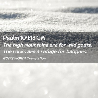 Picture 02 - Psalm 104:18 GW - The high mountains are for wild goats. The rocks - Bible Verse Picture