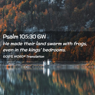 Picture 02 - Psalm 105:30 GW - He made their land swarm with frogs, even in the - Bible Verse Picture
