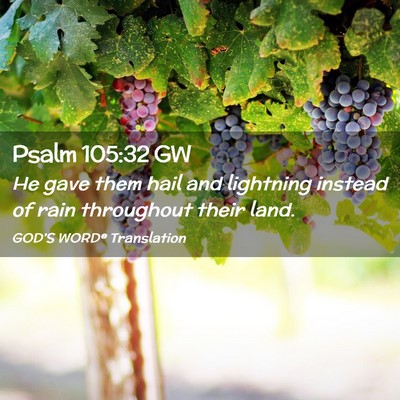 Picture 02 - Psalm 105:32 GW - He gave them hail and lightning instead of rain - Bible Verse Picture
