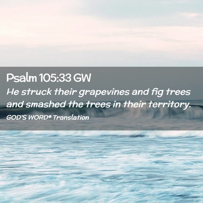 Picture 02 - Psalm 105:33 GW - He struck their grapevines and fig trees and - Bible Verse Picture