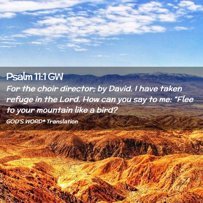Picture 02 - Psalm 11:1 GW - For the choir director; by David. I have taken - Bible Verse Picture