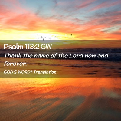 Picture 02 - Psalm 113:2 GW - Thank the name of the Lord now and - Bible Verse Picture