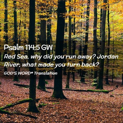 Picture 02 - Psalm 114:5 GW - Red Sea, why did you run away? Jordan River, what - Bible Verse Picture