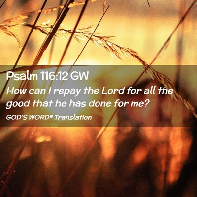 Picture 02 - Psalm 116:12 GW - How can I repay the Lord for all the good that he - Bible Verse Picture