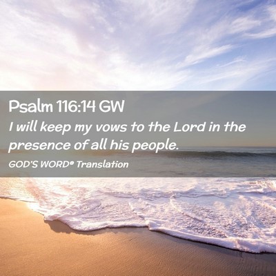 Picture 02 - Psalm 116:14 GW - I will keep my vows to the Lord in the presence - Bible Verse Picture