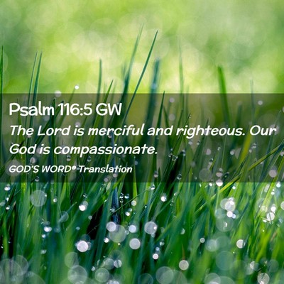Picture 02 - Psalm 116:5 GW - The Lord is merciful and righteous. Our God is - Bible Verse Picture