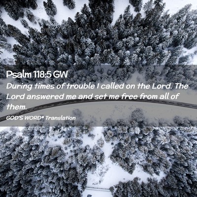 Picture 02 - Psalm 118:5 GW - During times of trouble I called on the Lord. The - Bible Verse Picture