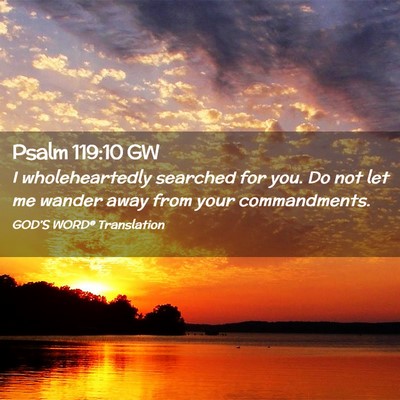 Picture 02 - Psalm 119:10 GW - I wholeheartedly searched for you. Do not let me - Bible Verse Picture