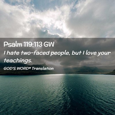 Picture 02 - Psalm 119:113 GW - I hate two-faced people, but I love your - Bible Verse Picture