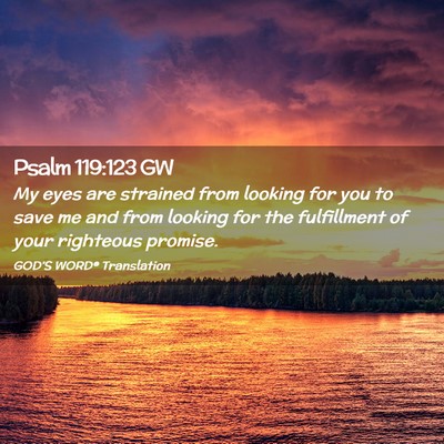Picture 02 - Psalm 119:123 GW - My eyes are strained from looking for you to save - Bible Verse Picture