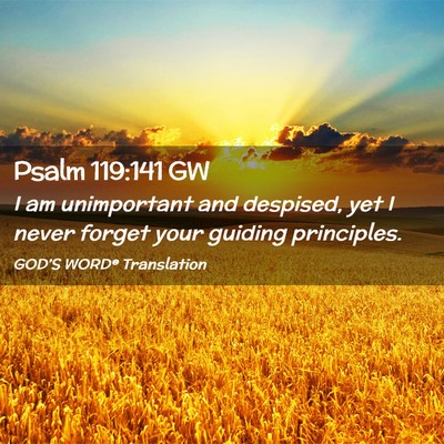 Picture 02 - Psalm 119:141 GW - I am unimportant and despised, yet I never forget - Bible Verse Picture