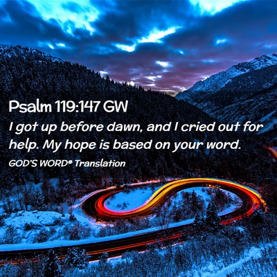 Picture 02 - Psalm 119:147 GW - I got up before dawn, and I cried out for help. - Bible Verse Picture