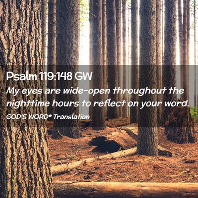 Picture 02 - Psalm 119:148 GW - My eyes are wide-open throughout the nighttime - Bible Verse Picture