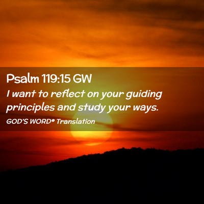 Picture 02 - Psalm 119:15 GW - I want to reflect on your guiding principles and - Bible Verse Picture