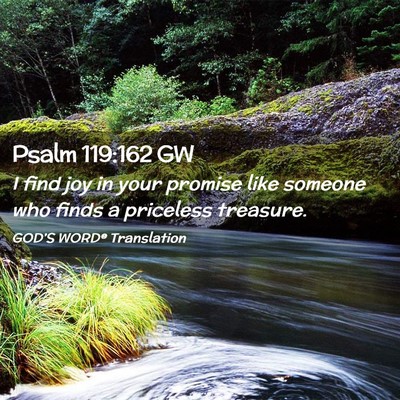Picture 02 - Psalm 119:162 GW - I find joy in your promise like someone who finds - Bible Verse Picture