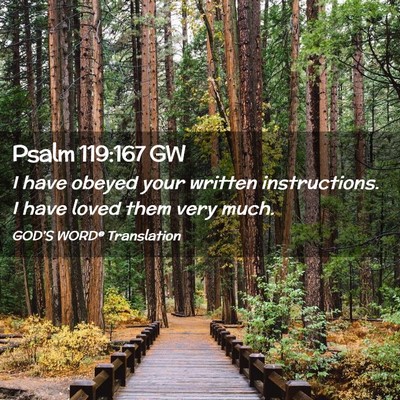 Picture 02 - Psalm 119:167 GW - I have obeyed your written instructions. I have - Bible Verse Picture