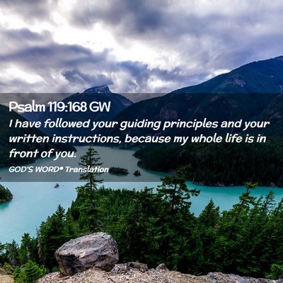 Picture 02 - Psalm 119:168 GW - I have followed your guiding principles and your - Bible Verse Picture