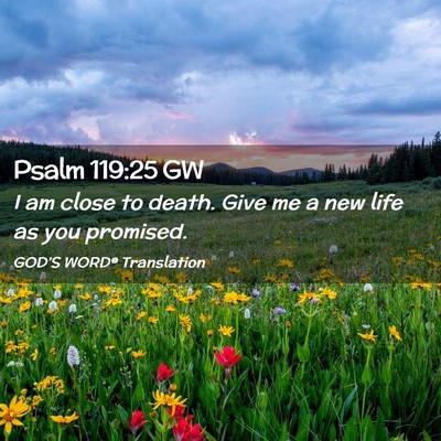 Picture 02 - Psalm 119:25 GW - I am close to death. Give me a new life as you - Bible Verse Picture