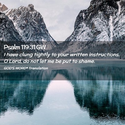 Picture 02 - Psalm 119:31 GW - I have clung tightly to your written - Bible Verse Picture