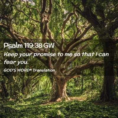 Picture 02 - Psalm 119:38 GW - Keep your promise to me so that I can fear - Bible Verse Picture