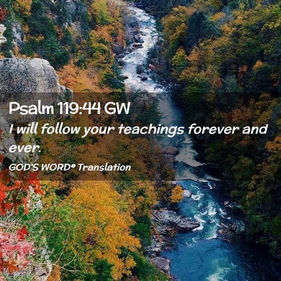 Picture 02 - Psalm 119:44 GW - I will follow your teachings forever and - Bible Verse Picture