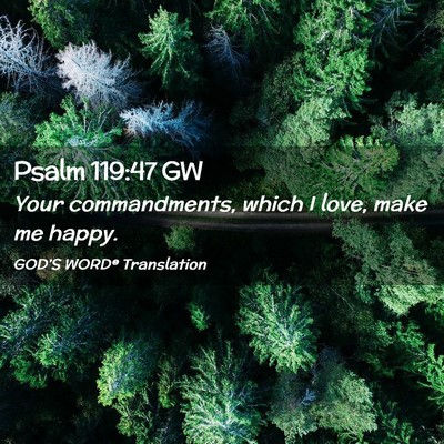 Picture 02 - Psalm 119:47 GW - Your commandments, which I love, make me - Bible Verse Picture