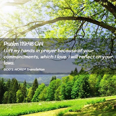 Picture 02 - Psalm 119:48 GW - I lift my hands in prayer because of your - Bible Verse Picture