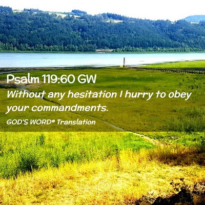 Picture 02 - Psalm 119:60 GW - Without any hesitation I hurry to obey your - Bible Verse Picture