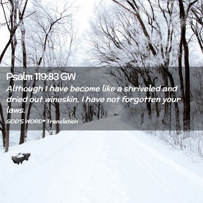 Picture 02 - Psalm 119:83 GW - Although I have become like a shriveled and dried - Bible Verse Picture