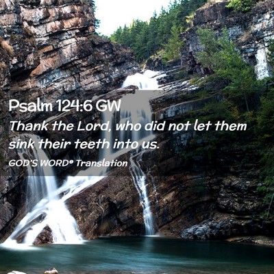 Picture 02 - Psalm 124:6 GW - Thank the Lord, who did not let them sink their - Bible Verse Picture
