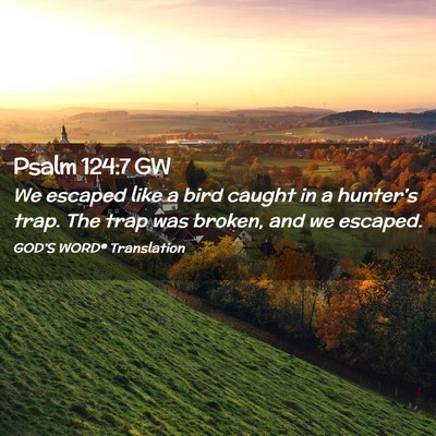 Picture 02 - Psalm 124:7 GW - We escaped like a bird caught in a hunter’s - Bible Verse Picture