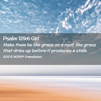 Picture 02 - Psalm 129:6 GW - Make them be like grass on a roof, like grass - Bible Verse Picture