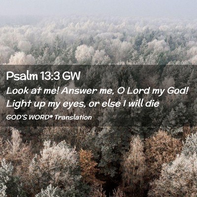 Picture 02 - Psalm 13:3 GW - Look at me! Answer me, O Lord my God! Light up my - Bible Verse Picture