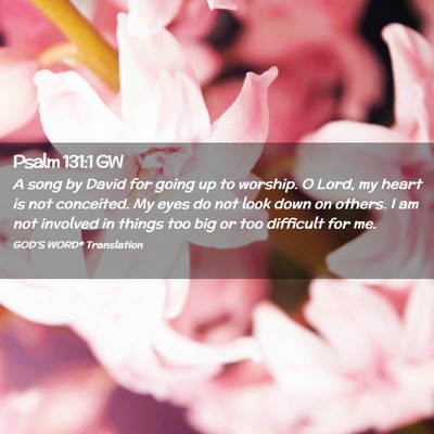 Picture 02 - Psalm 131:1 GW - A song by David for going up to worship. O Lord, - Bible Verse Picture