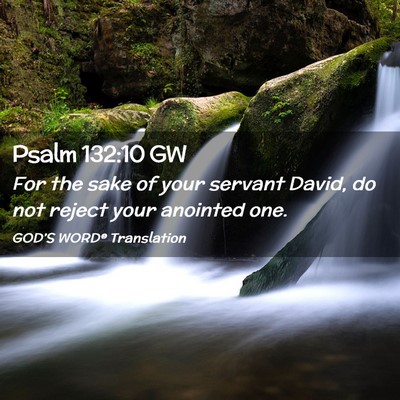 Picture 02 - Psalm 132:10 GW - For the sake of your servant David, do not reject - Bible Verse Picture