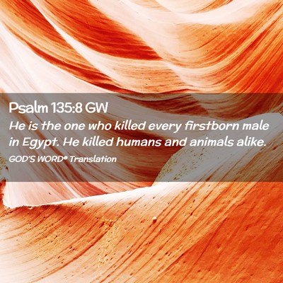 Picture 02 - Psalm 135:8 GW - He is the one who killed every firstborn male in - Bible Verse Picture